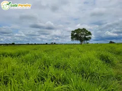 Fazenda / Sítio / Chácara à venda, 61350000m² no Zona Rural, Itiquira - Foto 6