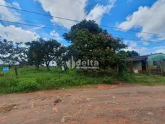 Terreno / Lote / Condomínio à venda, 1000m² no Morada Nova, Uberlândia - Foto 3