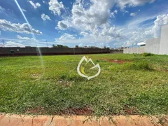 Terreno / Lote / Condomínio à venda, 453m² no Parque Brasil 500, Paulínia - Foto 1
