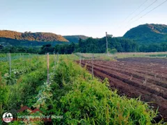 Terreno / Lote / Condomínio à venda, 10170m² no Linha Araripe, Nova Petrópolis - Foto 10