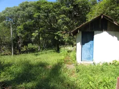 Fazenda / Sítio / Chácara com 1 Quarto à venda, 150000m² no Rural, Extrema - Foto 47