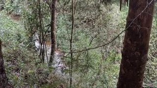 Fazenda / Sítio / Chácara à venda, 20000m² no Zona Rural, Virgínia - Foto 1