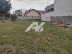 Terreno / Lote / Condomínio à venda, 480m² no Nova Campinas, Campinas - Foto 5