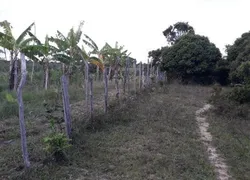 Fazenda / Sítio / Chácara com 3 Quartos à venda, 778433m² no Zona Rural, Conde - Foto 4