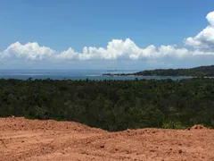 Fazenda / Sítio / Chácara à venda, 452m² no , Santo Amaro - Foto 4