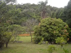 Fazenda / Sítio / Chácara com 4 Quartos à venda, 1330m² no Cocais, Ibiúna - Foto 57