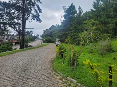 Terreno / Lote / Condomínio à venda, 800m² no Soberbo, Teresópolis - Foto 3