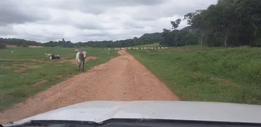 Fazenda / Sítio / Chácara à venda no Zona Rural, Rosário Oeste - Foto 15