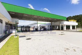 Galpão / Depósito / Armazém para alugar, 12600m² no Empresarial Colina, Cajamar - Foto 4