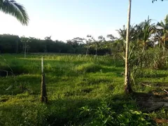 Fazenda / Sítio / Chácara com 2 Quartos à venda, 96m² no Balneário Gaivotas, Itanhaém - Foto 14