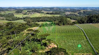 Fazenda / Sítio / Chácara à venda, 95000m² no Zona Rural, Monte Belo do Sul - Foto 16