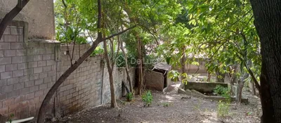 Terreno / Lote / Condomínio para alugar, 500m² no Jardim Itamarati, Campinas - Foto 6