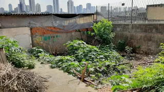 Terreno / Lote / Condomínio à venda, 450m² no Vila Moinho Velho, São Paulo - Foto 5