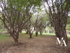 Fazenda / Sítio / Chácara à venda no Nova Fátima, Hidrolândia - Foto 11