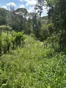 Fazenda / Sítio / Chácara com 1 Quarto à venda, 250m² no Cipó, Embu-Guaçu - Foto 21