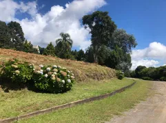 Terreno / Lote / Condomínio à venda, 1385m² no Mato Queimado, Gramado - Foto 3