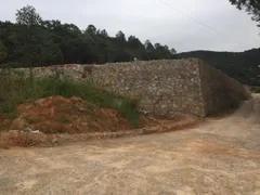 Terreno / Lote / Condomínio à venda, 10170m² no Sao Miguel Guaporanga, Biguaçu - Foto 2