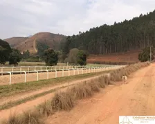 Fazenda / Sítio / Chácara com 10 Quartos à venda, 120000m² no Serra, Teresópolis - Foto 4