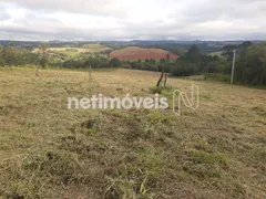 Fazenda / Sítio / Chácara à venda, 270000m² no Chácara Rincao, Cotia - Foto 15