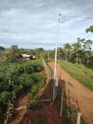 Fazenda / Sítio / Chácara com 3 Quartos à venda, 5000m² no Area Rural do Paranoa, Brasília - Foto 14