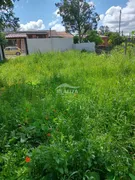 Terreno / Lote / Condomínio à venda, 300m² no São Tomé, Viamão - Foto 2