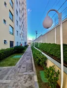 Apartamento com 2 Quartos à venda, 47m² no Jardim Antonio Von Zuben, Campinas - Foto 32