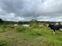 Fazenda / Sítio / Chácara com 5 Quartos à venda, 100m² no Zona Rural, Nossa Senhora do Livramento - Foto 17
