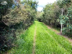 Terreno / Lote / Condomínio à venda, 300m² no Campo do Meio, Campo Largo - Foto 29