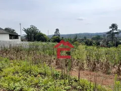 Terreno / Lote / Condomínio à venda, 1000m² no Votorantim, Ibiúna - Foto 5