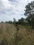 Fazenda / Sítio / Chácara à venda, 1852500m² no Zona Rural, Santa Rosa do Tocantins - Foto 5