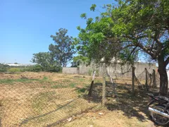Terreno / Lote / Condomínio à venda, 301m² no Jardim Nilópolis, Campinas - Foto 2
