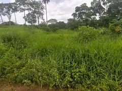 Fazenda / Sítio / Chácara com 7 Quartos à venda no , Vila Propício - Foto 4