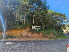Terreno / Lote / Condomínio à venda, 1230m² no Varginha, Nova Friburgo - Foto 5