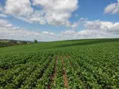 Fazenda / Sítio / Chácara com 3 Quartos à venda, 87m² no Area Rural de Capao Bonito, Capão Bonito - Foto 5