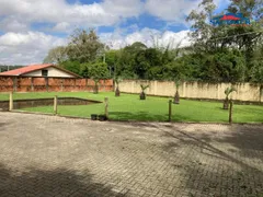 Fazenda / Sítio / Chácara com 3 Quartos à venda, 6643m² no Jardim Planalto, Esteio - Foto 3