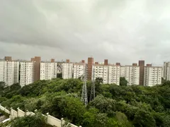 Apartamento com 2 Quartos à venda, 43m² no Piqueri, São Paulo - Foto 8