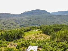 Fazenda / Sítio / Chácara à venda, 196800m² no Linha 28, Gramado - Foto 1