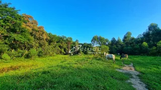 Fazenda / Sítio / Chácara à venda, 20000m² no Itapeti, Guararema - Foto 13