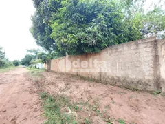 Fazenda / Sítio / Chácara à venda, 1000m² no Morada Nova, Uberlândia - Foto 10