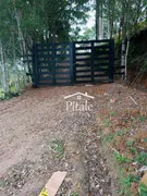 Fazenda / Sítio / Chácara com 2 Quartos à venda, 1200m² no Zona Rural, Juquiá - Foto 11