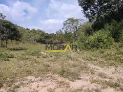 Fazenda / Sítio / Chácara com 5 Quartos à venda, 290000m² no Ravena, Sabará - Foto 4