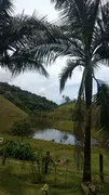 Fazenda / Sítio / Chácara com 2 Quartos à venda, 240000m² no Pouso Alto, Natividade da Serra - Foto 42