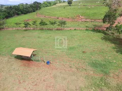 Fazenda / Sítio / Chácara com 4 Quartos à venda, 400m² no Piraju, Piraju - Foto 32