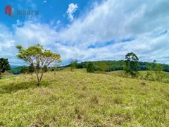 Fazenda / Sítio / Chácara com 3 Quartos à venda, 100000m² no Centro, Pedro Teixeira - Foto 37