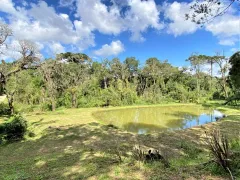 Fazenda / Sítio / Chácara com 4 Quartos à venda, 8000m² no Faxina, São José dos Pinhais - Foto 26