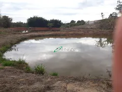 Fazenda / Sítio / Chácara com 3 Quartos à venda, 800m² no Lambarí, Guararema - Foto 8