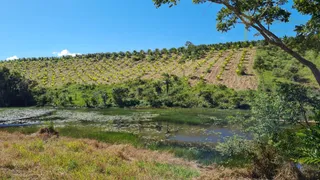 Fazenda / Sítio / Chácara com 4 Quartos à venda, 900000m² no Centro, Valença - Foto 10