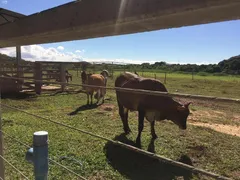 Fazenda / Sítio / Chácara com 4 Quartos à venda, 20000m² no Comunidade Urbana de Jaboticaba, Guarapari - Foto 4