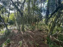 Terreno / Lote / Condomínio à venda, 1200m² no Parque das Hortênsias, Canela - Foto 5