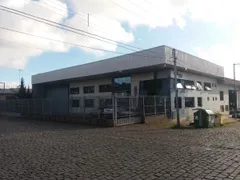 Galpão / Depósito / Armazém para alugar, 600m² no Santa Catarina, Caxias do Sul - Foto 1